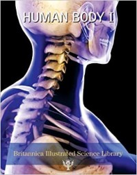 Image of Human body II